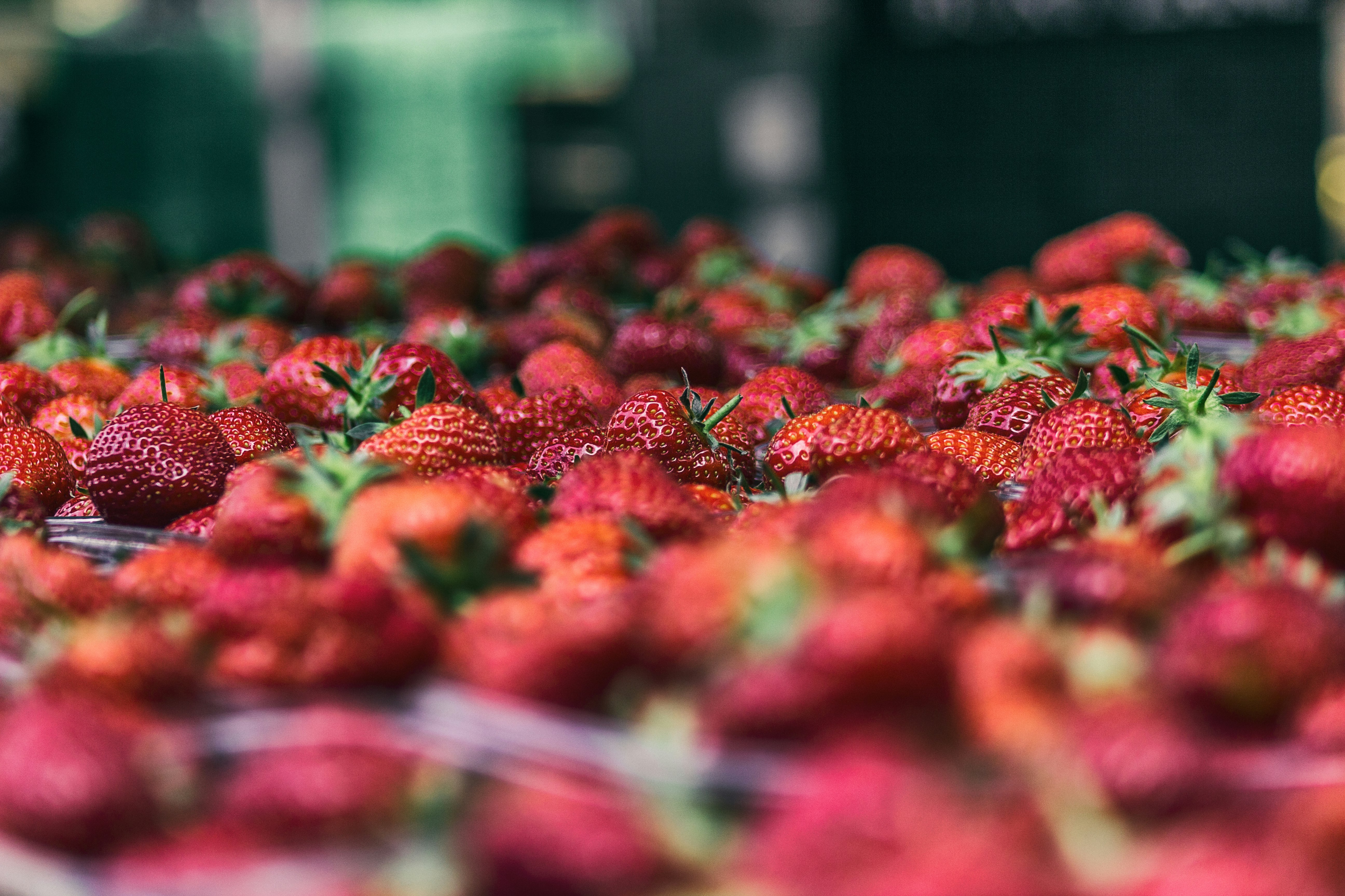 strawberry fruit lot